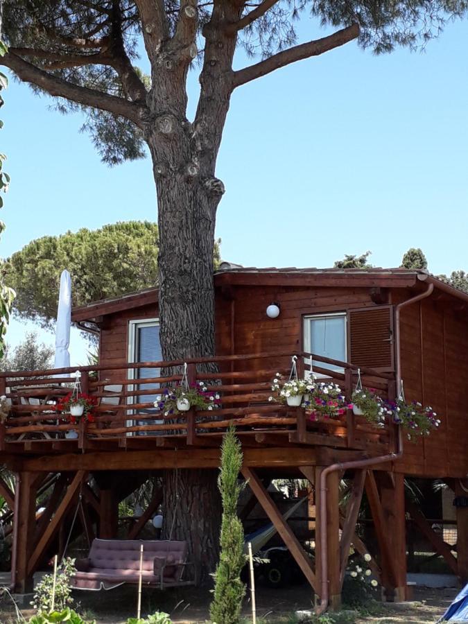 Villa Il Vivaio à Tarquinia Extérieur photo