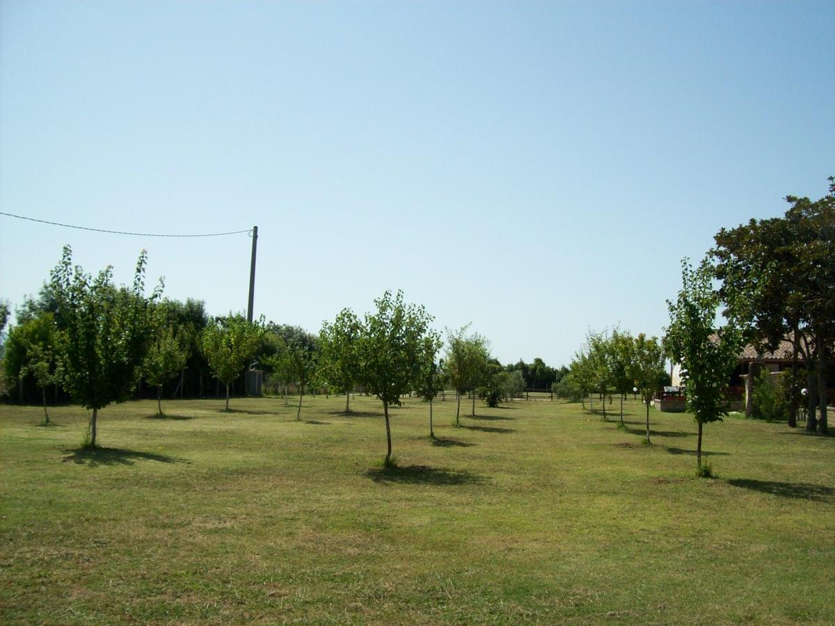 Villa Il Vivaio à Tarquinia Extérieur photo